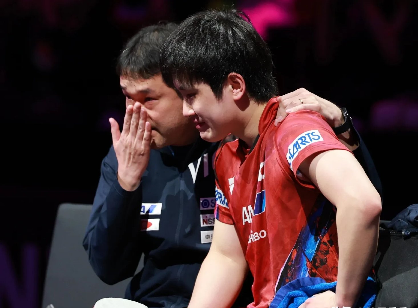 波兰队绝杀法国队，张本智和状态火热