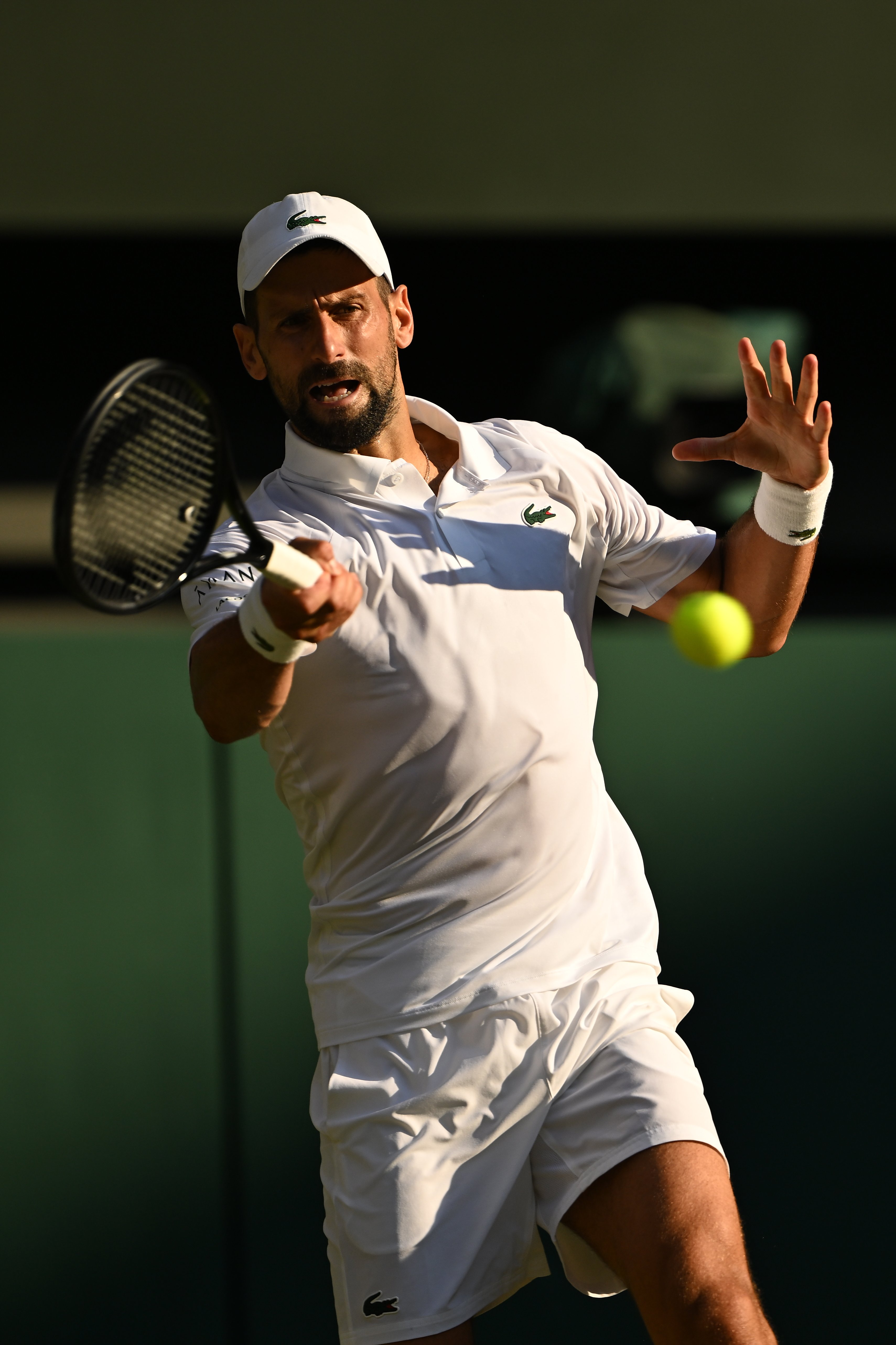 温网轻取ATP总决赛，辛纳扛起全队